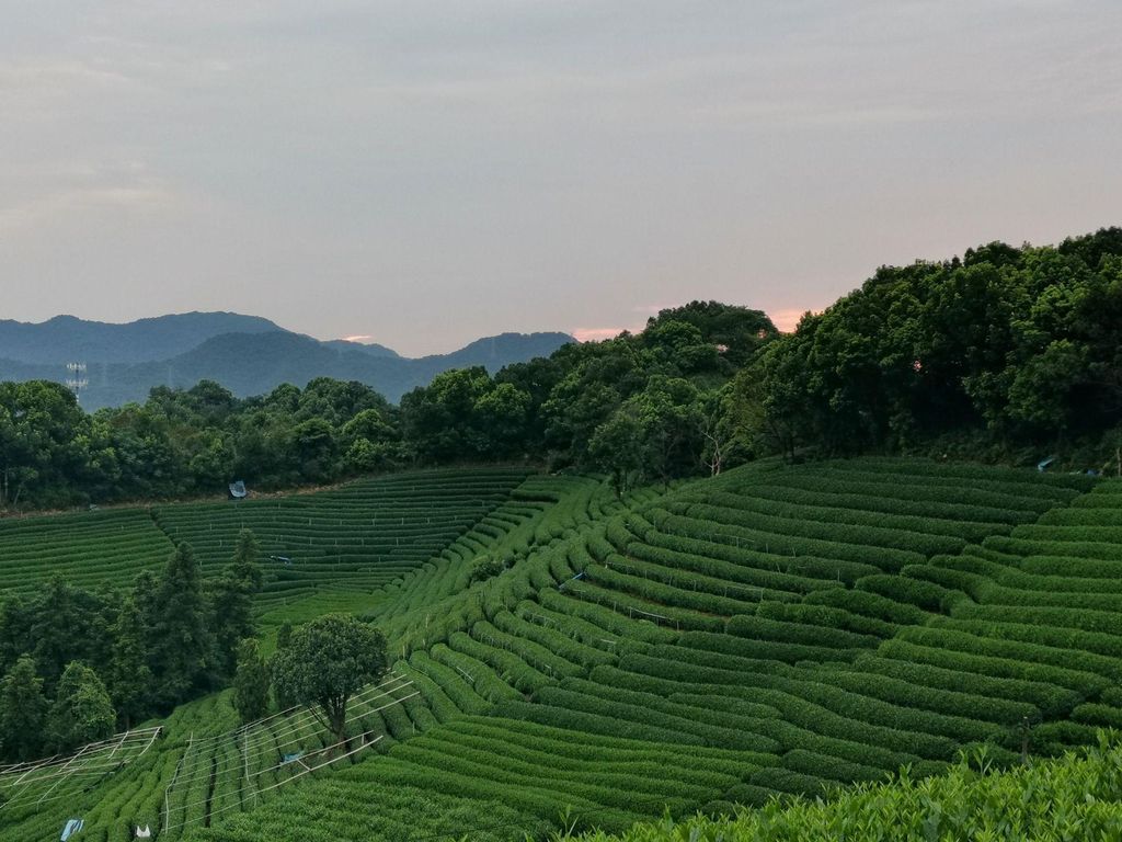 Hangzhou & Wuzhen: 2-tägige Tour ab Shanghai