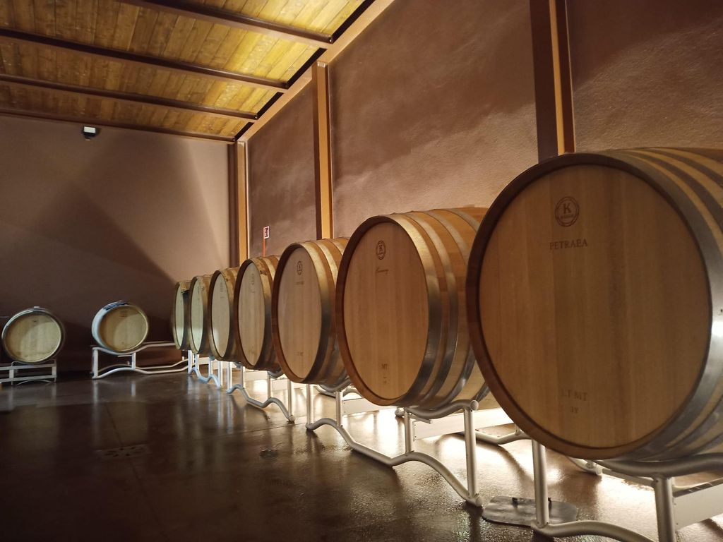 Volterra: Weinkeller-Führung und -Erlebnis mit Verkostung