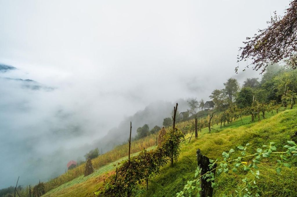 Aus Batumi: Lieder und Aromen aus dem Dorf Merisi