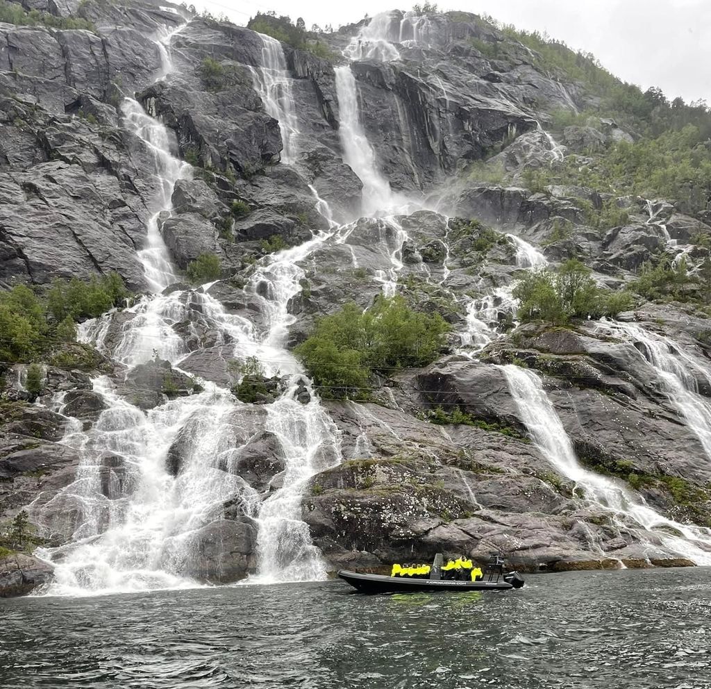 RIB-Safari Nordfjordeid