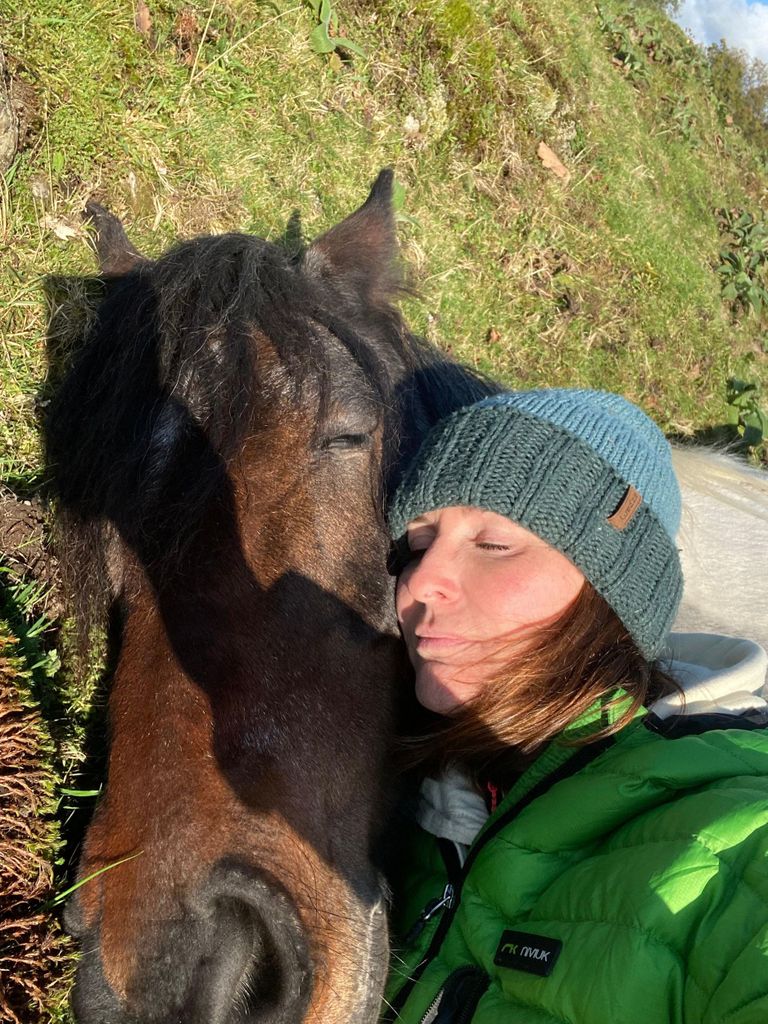 Meditiere mit schweren Pferden im Lake District