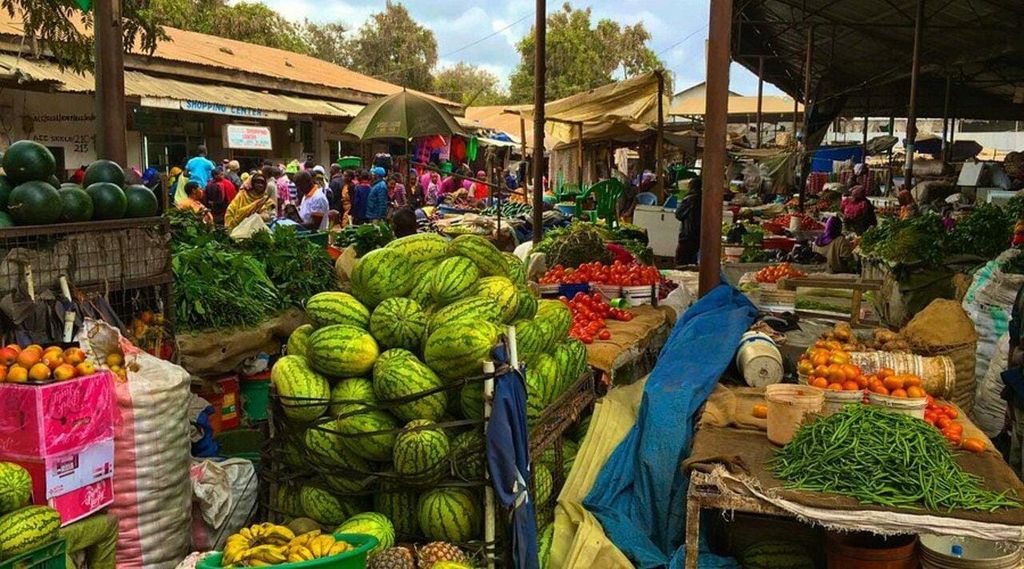 Dar es Salaam: Fischmarkt, Frischmarkt und Kunstmarkt-Tour