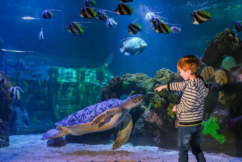 SEA LIFE Timmendorfer Strand Ticket