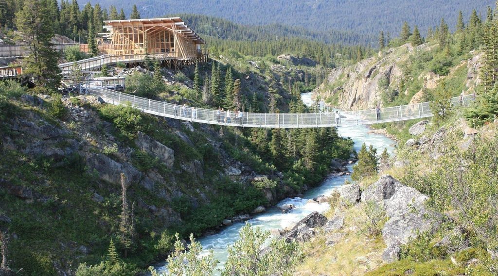 Skagway: Yukon Hängebrücke & Summit Tour
