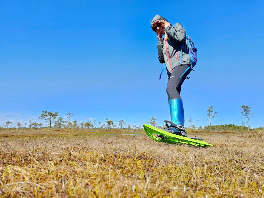 Ķemeri Bogs Adventure: Feuchtgebiete in Moorschuhen erkunden
