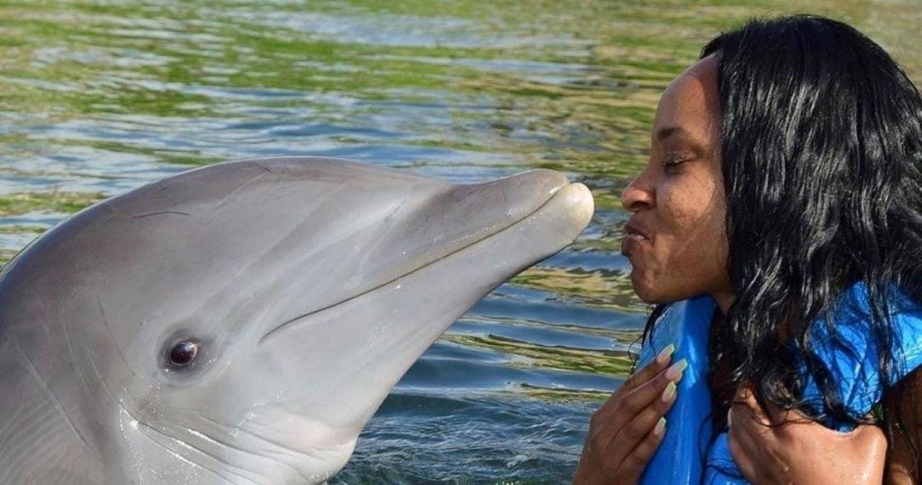 Montego Bay: Schwimmen mit den Delfinen Abenteuer in Lucea