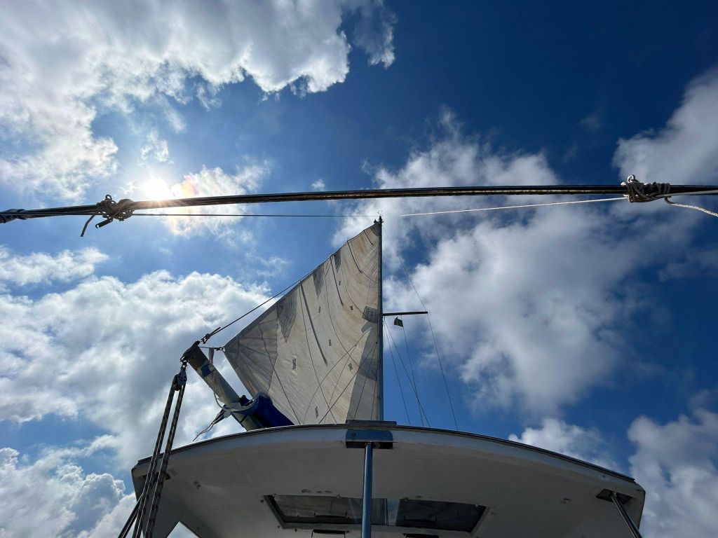 Palermo: Ganztägige Bootstour zum Schnorcheln mit Mittagessen und Wein