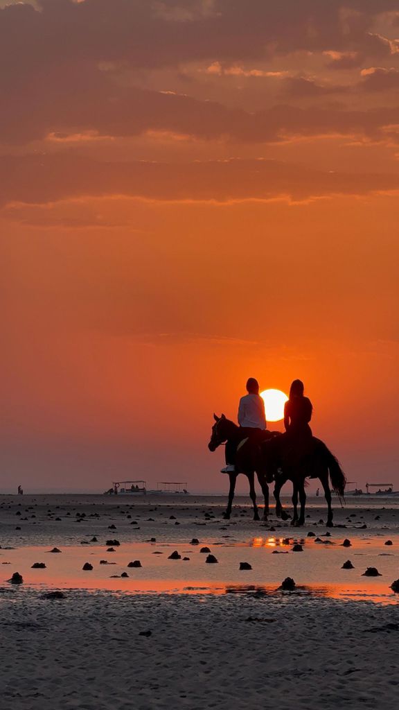 Reiten in Muscat | Reiten am Strand