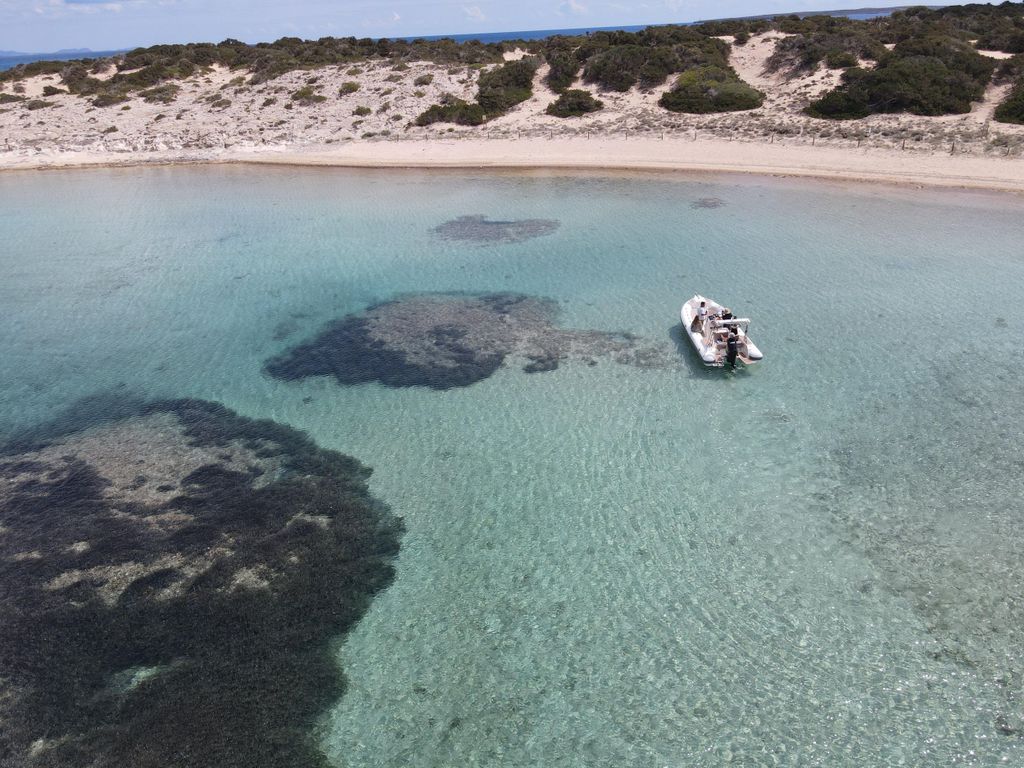 Entdecke Formentera: Bootstour mit Stopps ab Santa Eulalia