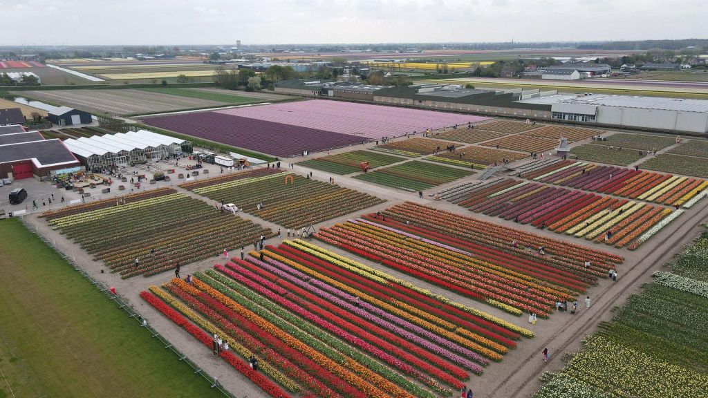 Hillegom: Tulpenscheune Entry Ticket