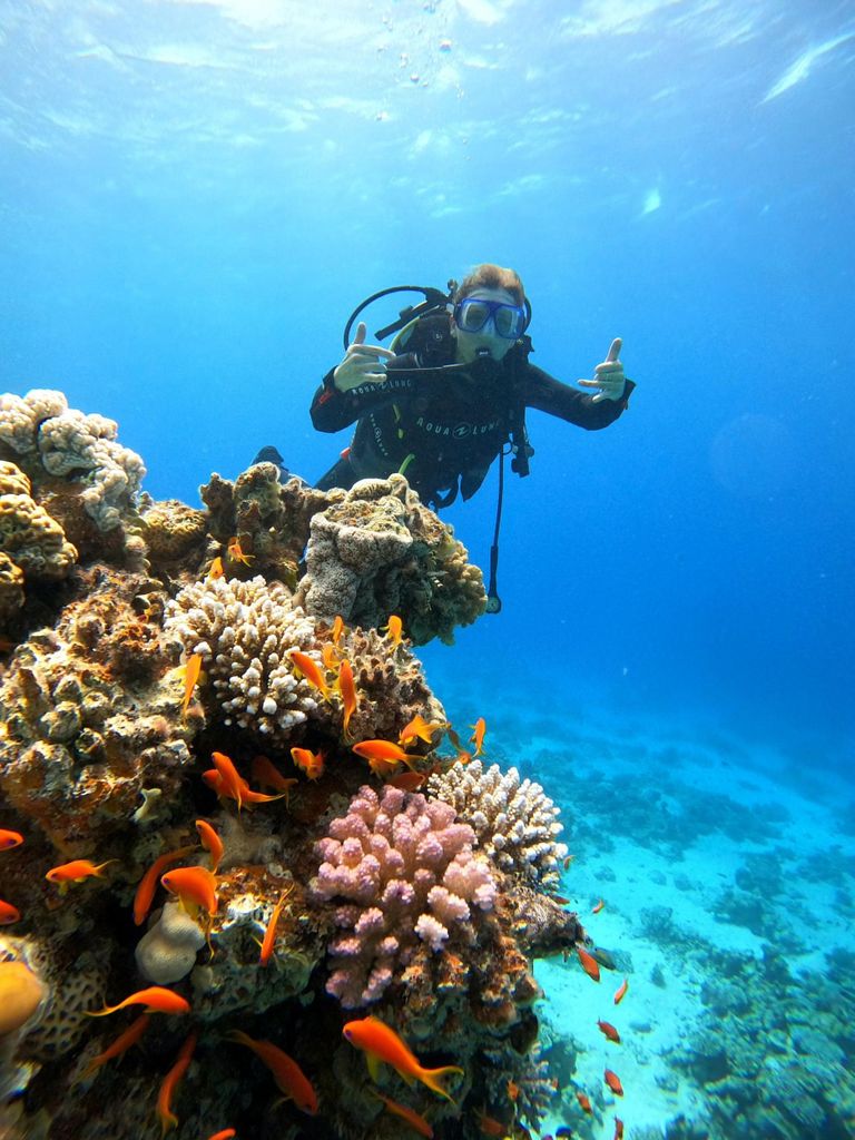 Dahab: Tauchen für Neulinge am Leuchtturm mit Fotos & Transfer