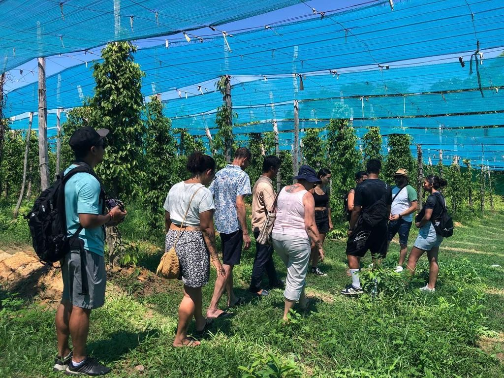 Kampot Pfefferfarm, Salzfelder, Höhle von Sihanoukville