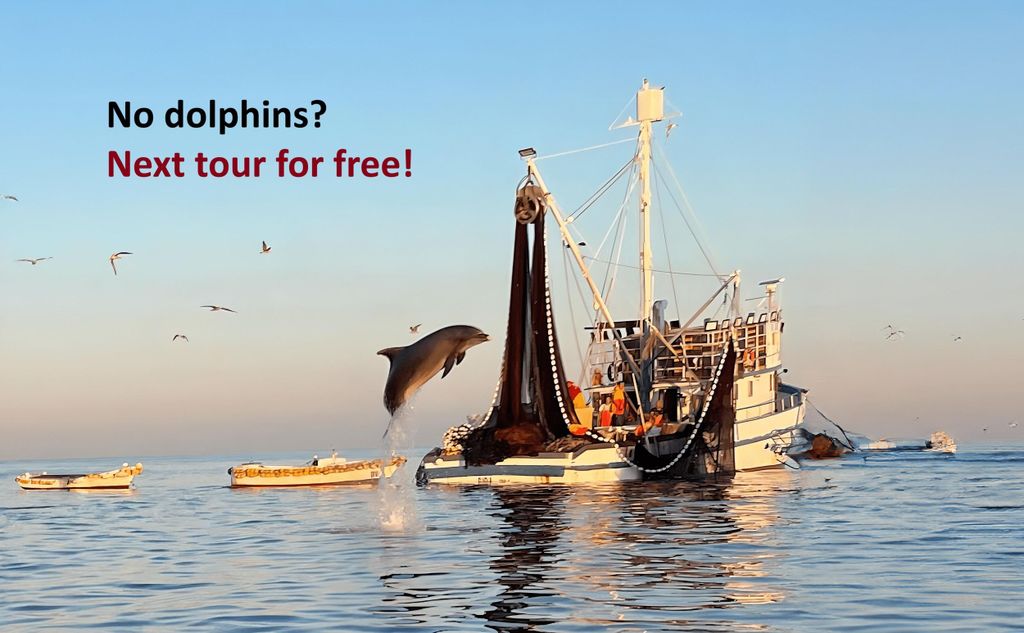 Rovinj: Sonnenaufgang Delfine & Fischer bei der Arbeit Speedboat Tour