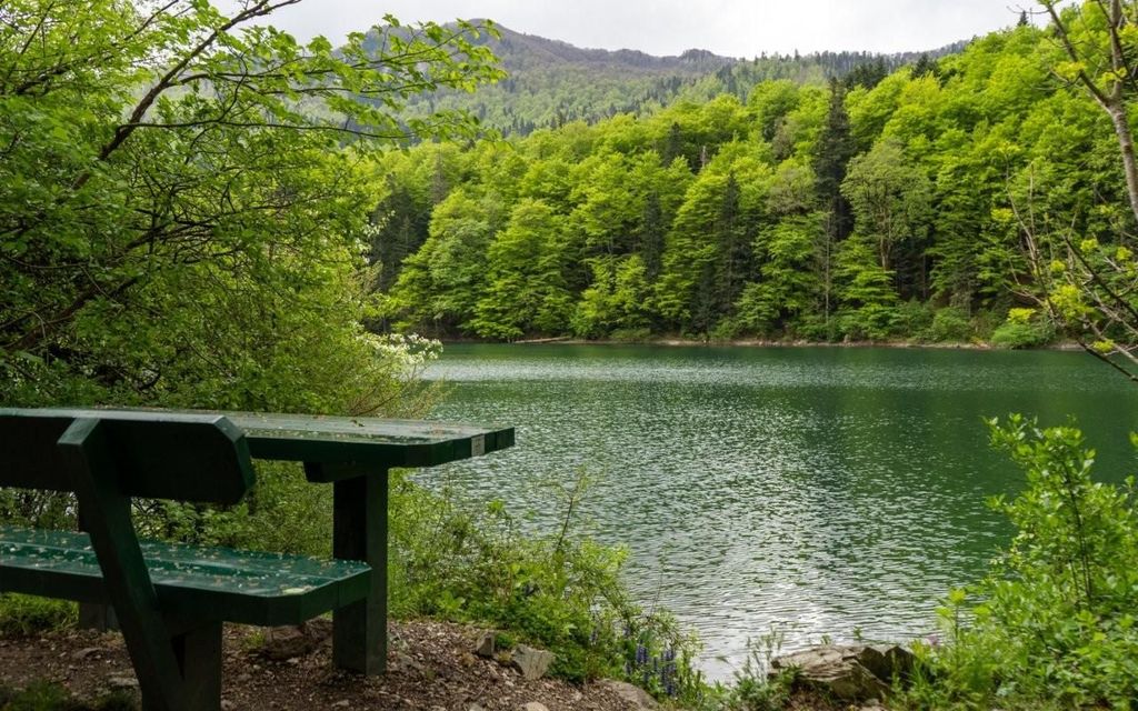 Montenegro: Rundgang durch 5 Nationalparks mit Mahlzeiten