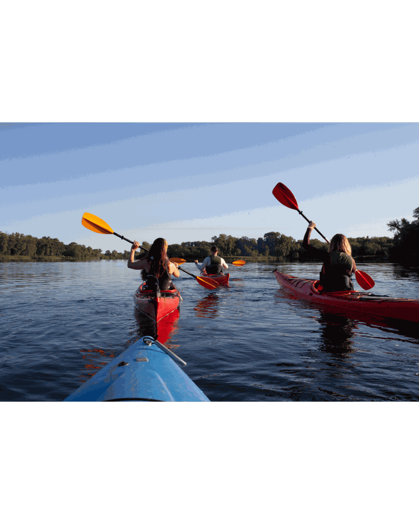 Ocean Springs: Geführte Kajaktour