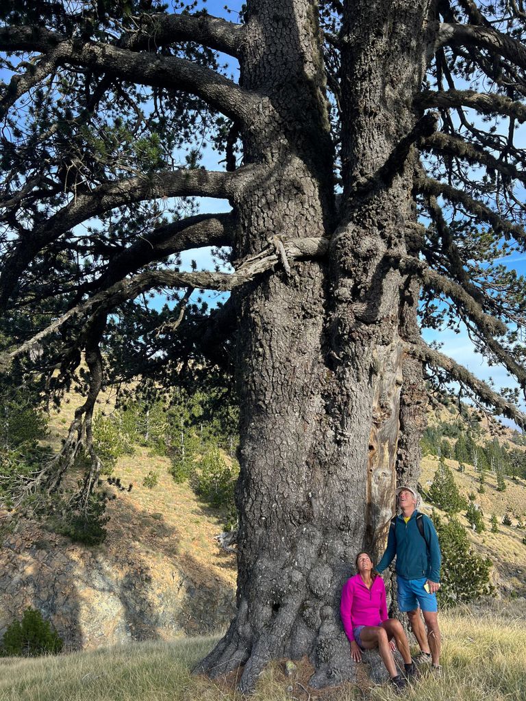 Offroad- & Wanderabenteuer von Korçë nach Valamara
