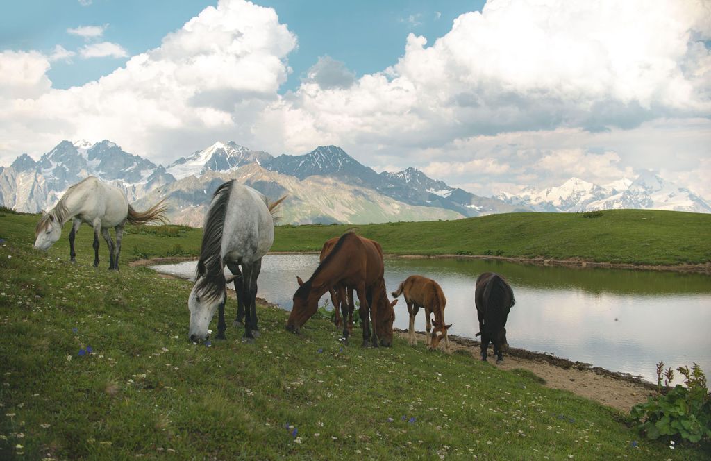 Glendalough: Ausritt in den Wicklow Mountains