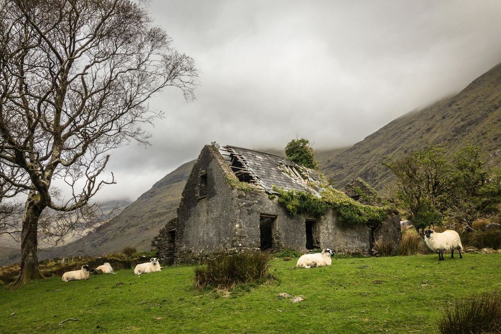 Killarney: Der Ring der Reeks - Backroads Rural Tour