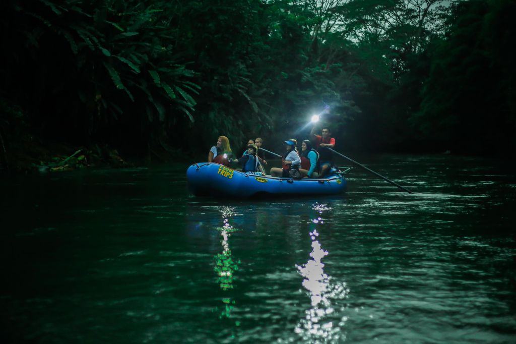 La Fortuna: Geführte Wildtier-Safari in der Dämmerung