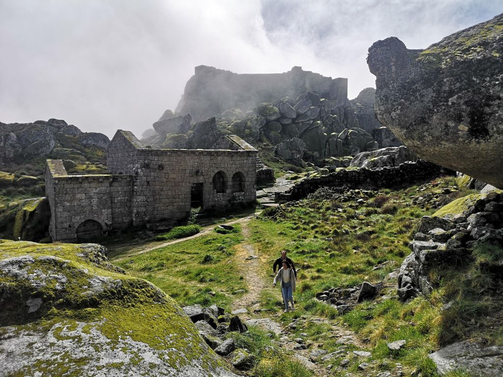 Monsanto: Tour & Transfer – 3 Optionen verfügbar