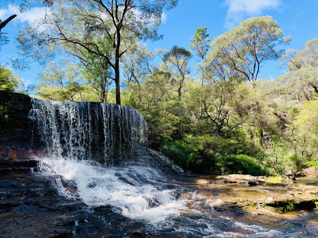 Sydney: Luxuriöses Blue Mountains Abenteuer mit Wentworth Falls