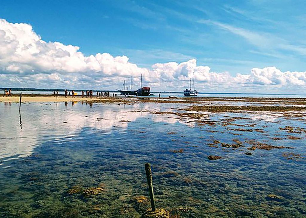 Porto Seguro: Schonerfahrt und Schwimmen am Recife de Fora