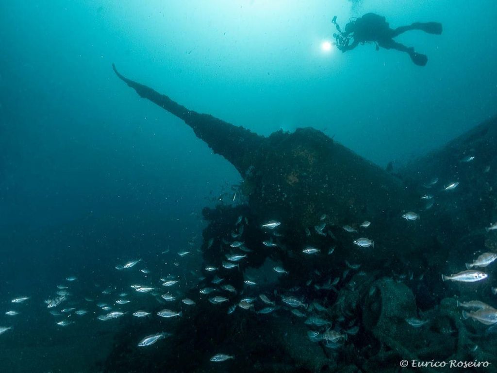 Tauche zum U-Boot 1277 – dem kultigsten Tauchplatz Portugals