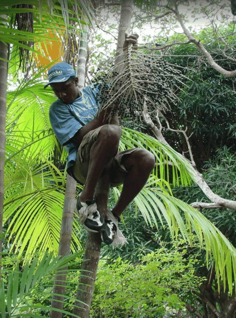 Echte Marajó-Insel-Erfahrung: 2-tägige Amazonas-Rundfahrt + Hotel