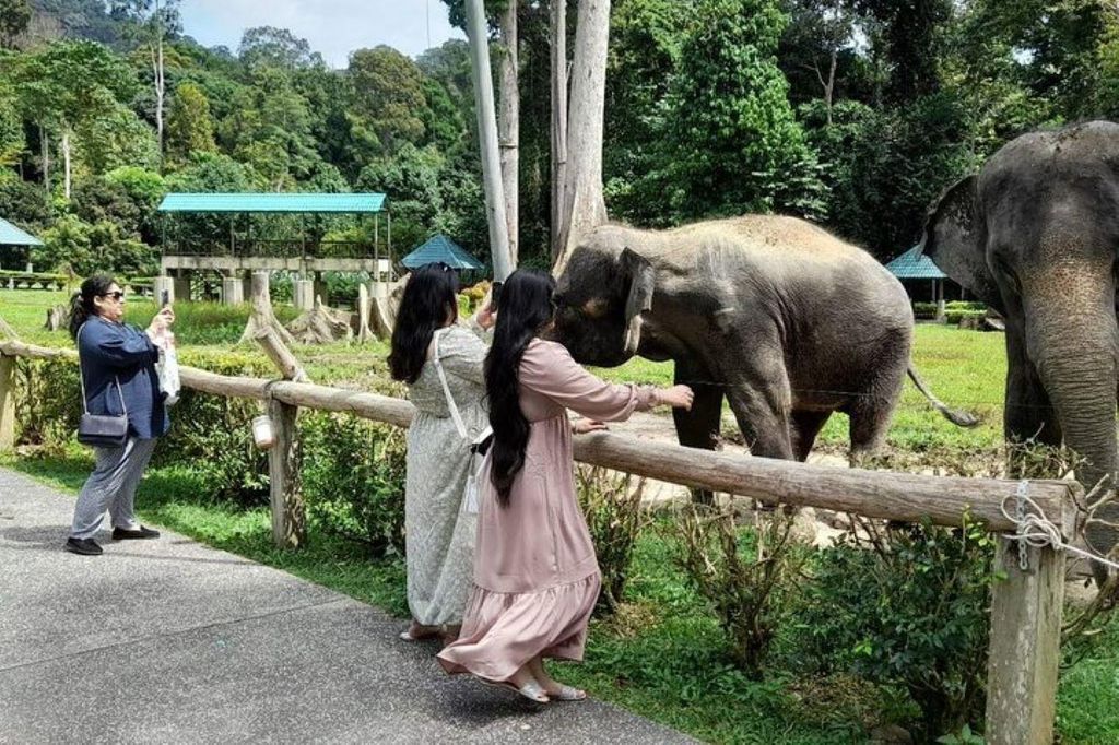 Von Kuala Lumpur aus: Tagestour nach Kuala Gandah und zu den Batu-Höhlen