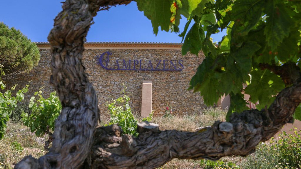 Komplette Besichtigung des Weinguts und Weinprobe im Château Camplazens