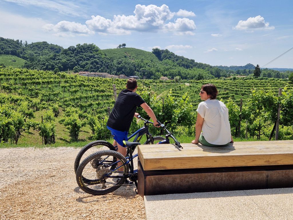 Valdobbiadene: Geführte E-Bike-Tour in den Prosecco-Hügeln