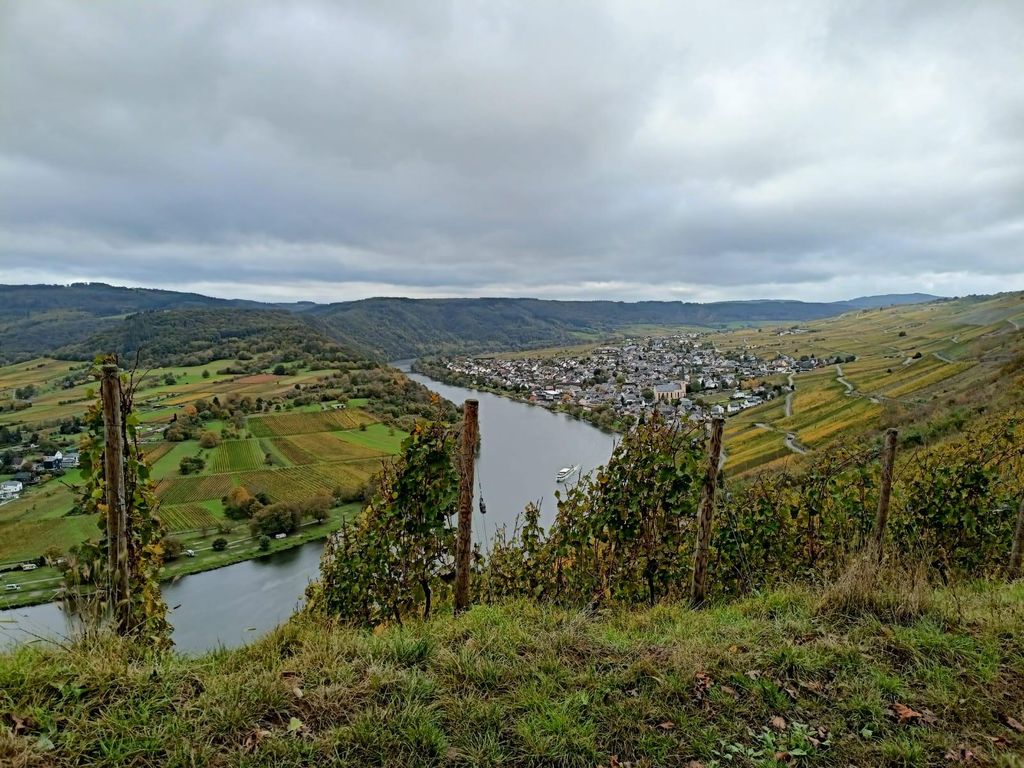 Kröv, Mosel: PLANWAGENFAHRT durch die Weinberge mit Weinprobe
