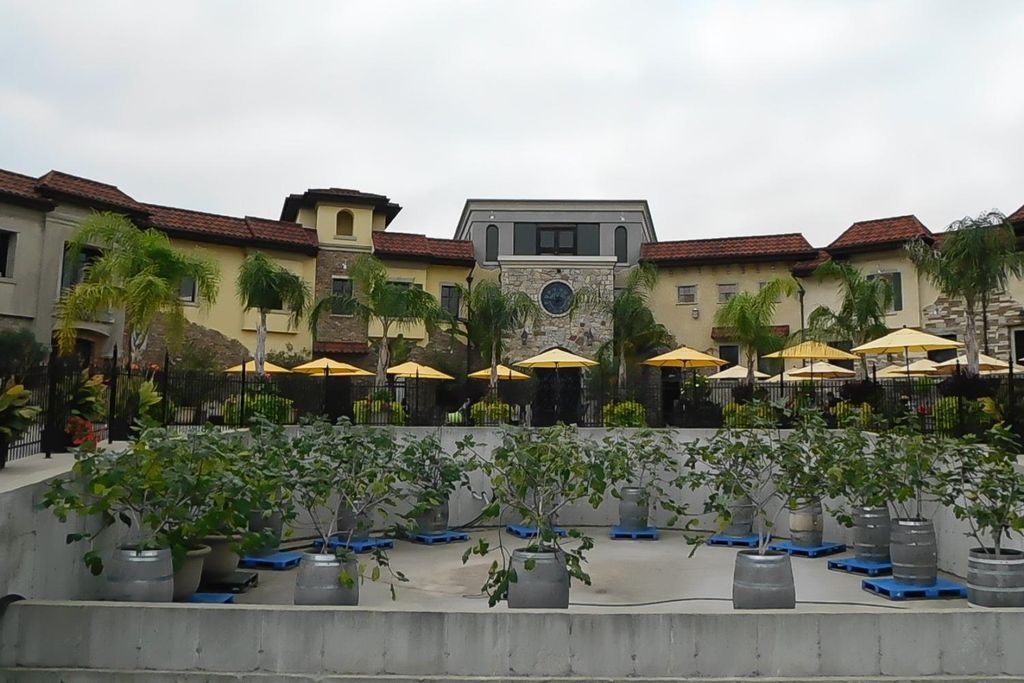 Individuelle private Tagestour zu den Niagarafällen, Kanada