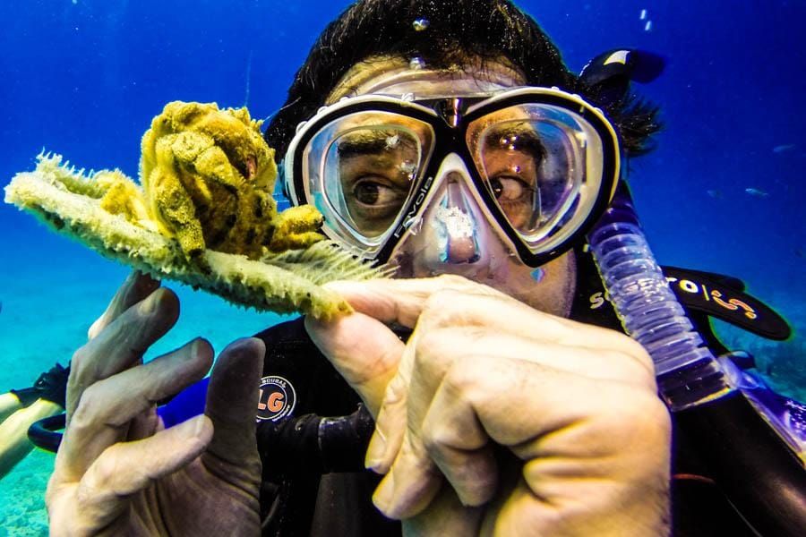 Catalina Island Scuba Diving Tour ab Punta Cana