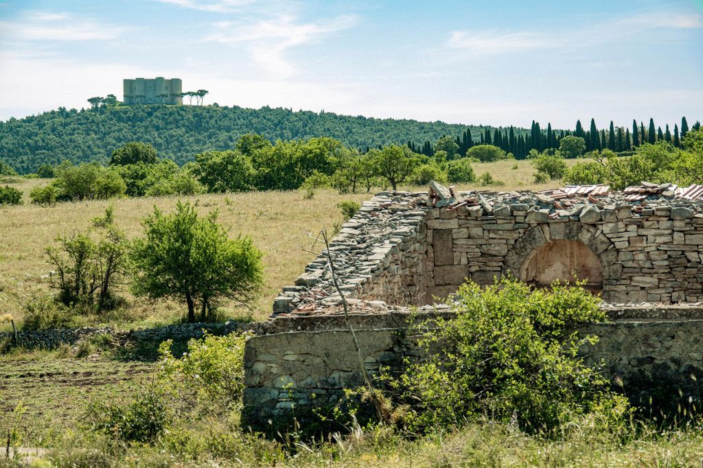 Organisierte Tour von Bari nach Castel del Monte