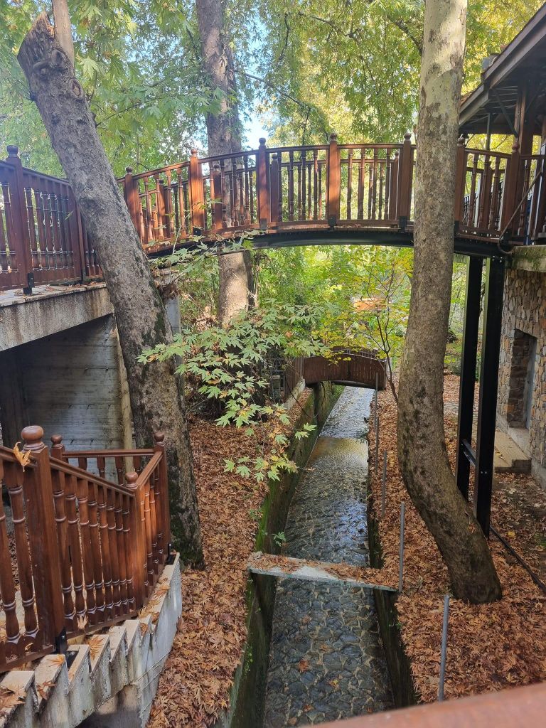 Zypern: Troodos & Geopark oder Tour durch den Wald und die Dörfer von Pafos