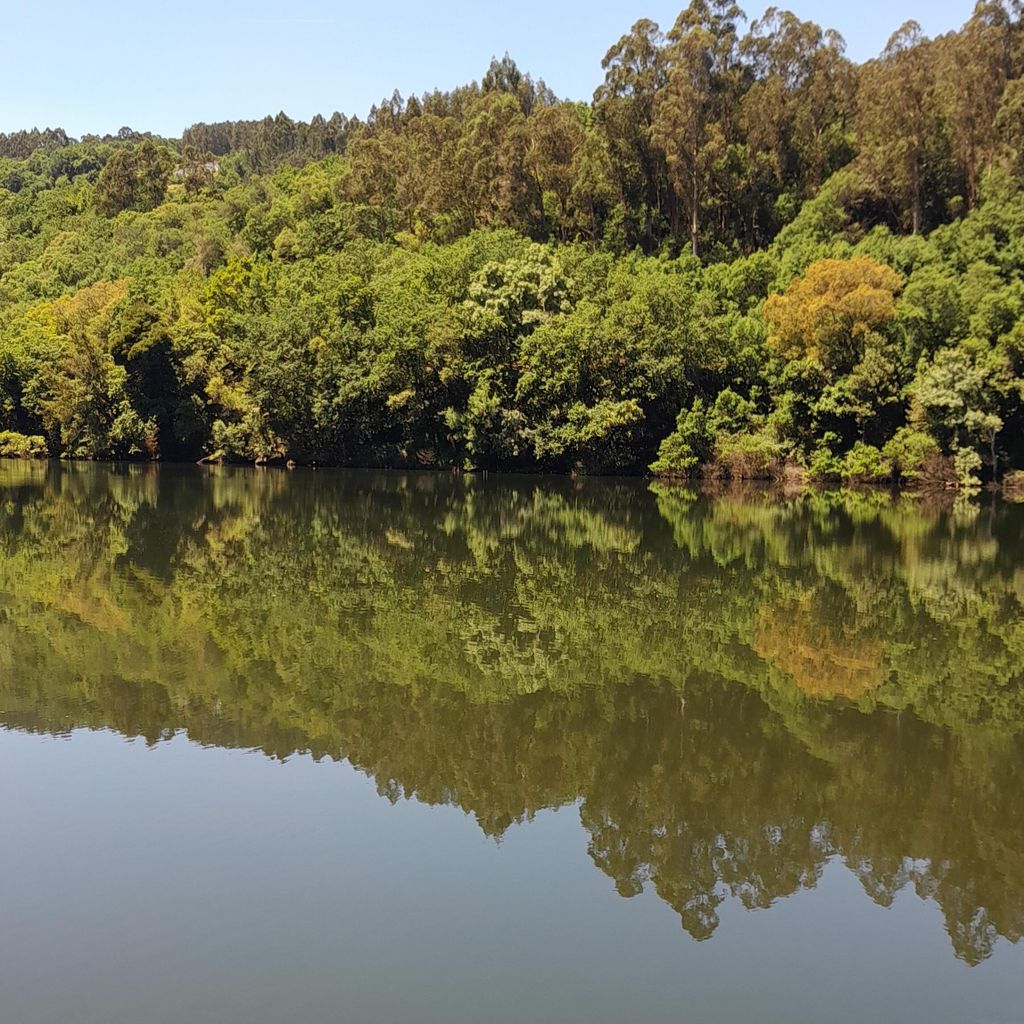 Von Porto nach Minho: Vinho Verde mit Mittagessen und Besuch bei 100 % Bio-Produzenten