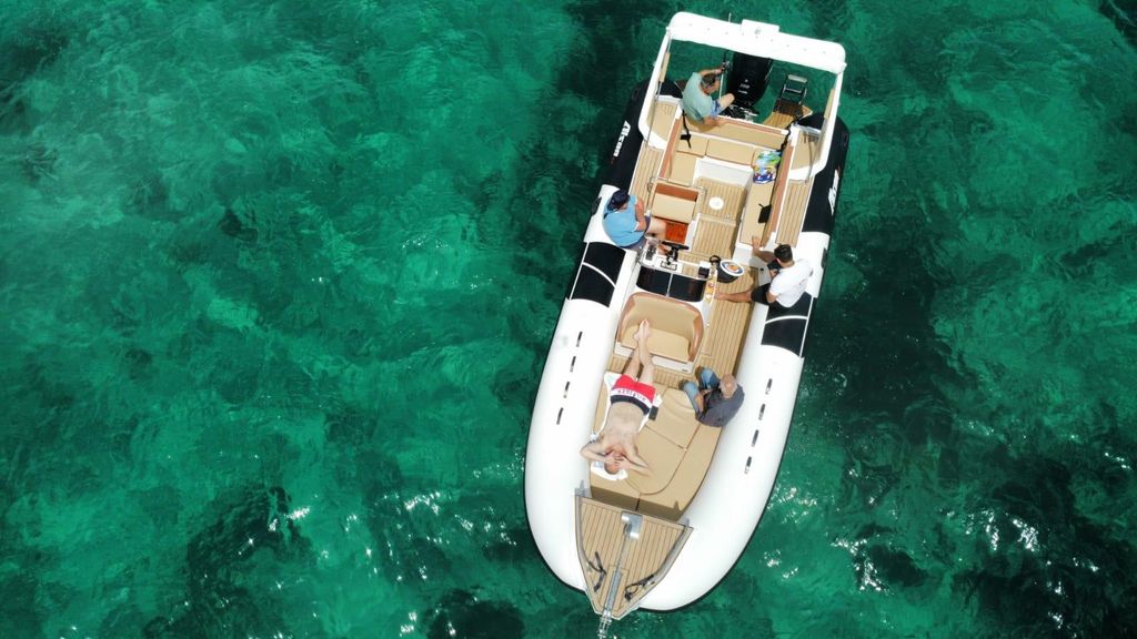 Olbia: Delfinausflug Golfo Aranci