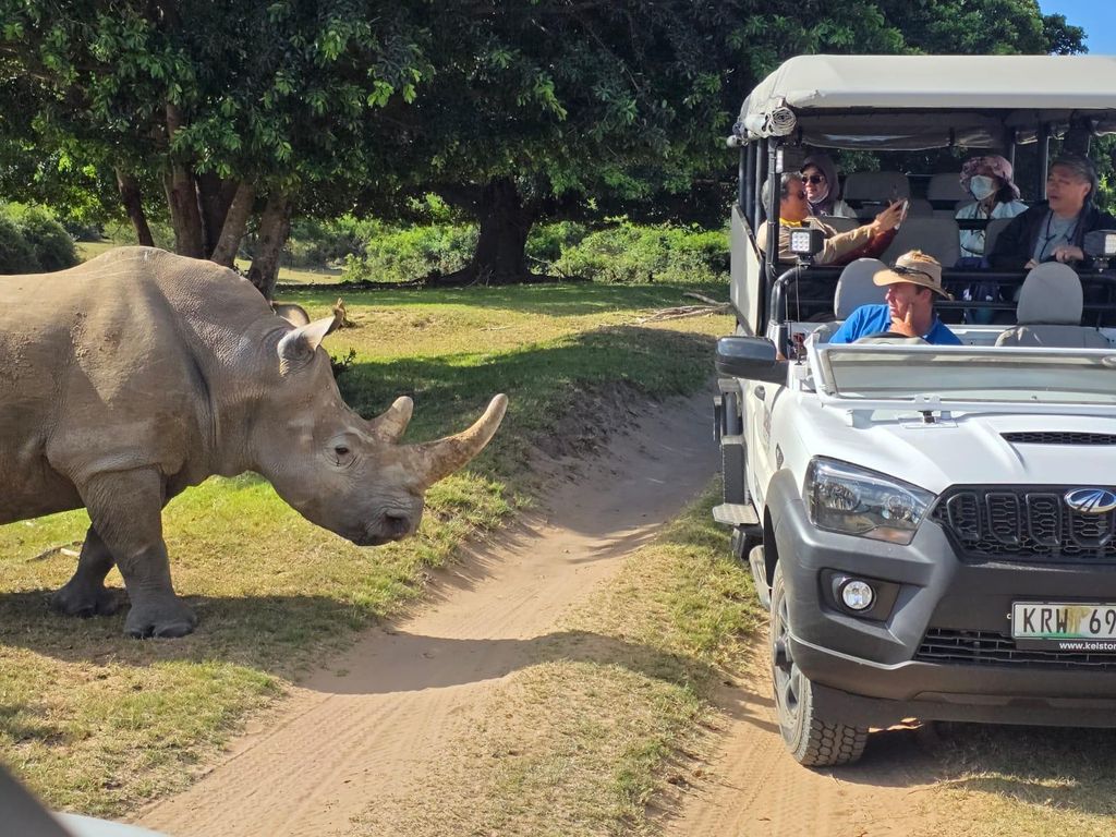 Schotia Reserve Tooth & Caw Safari (offenes Geländewagen-Safari-Fahrzeug)