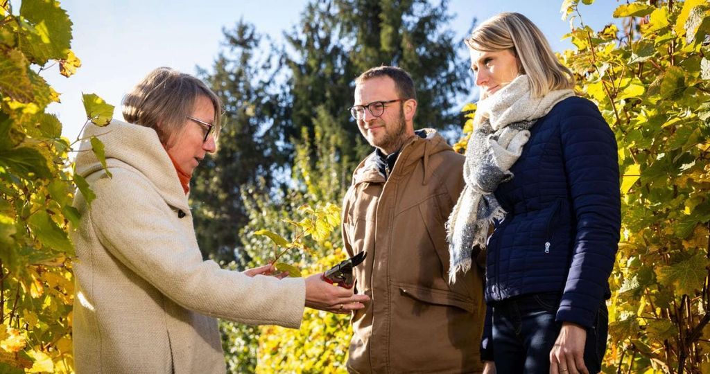 Sigolsheim: Käseverkostung & Elsässer Grands Crus