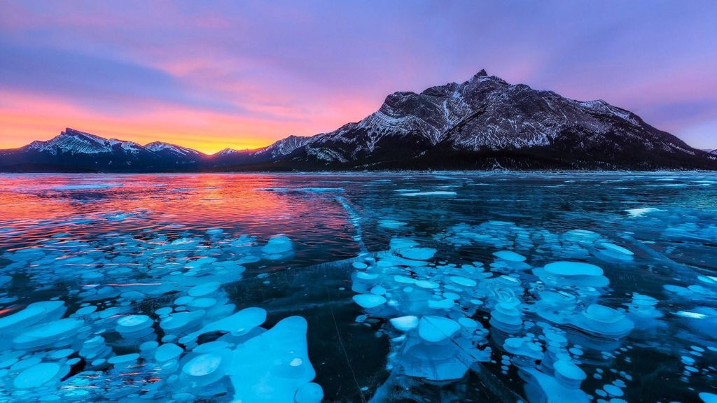 Abraham IceBubble/Sunwapta, Athabasca Falls, Peyto, Bow Lake