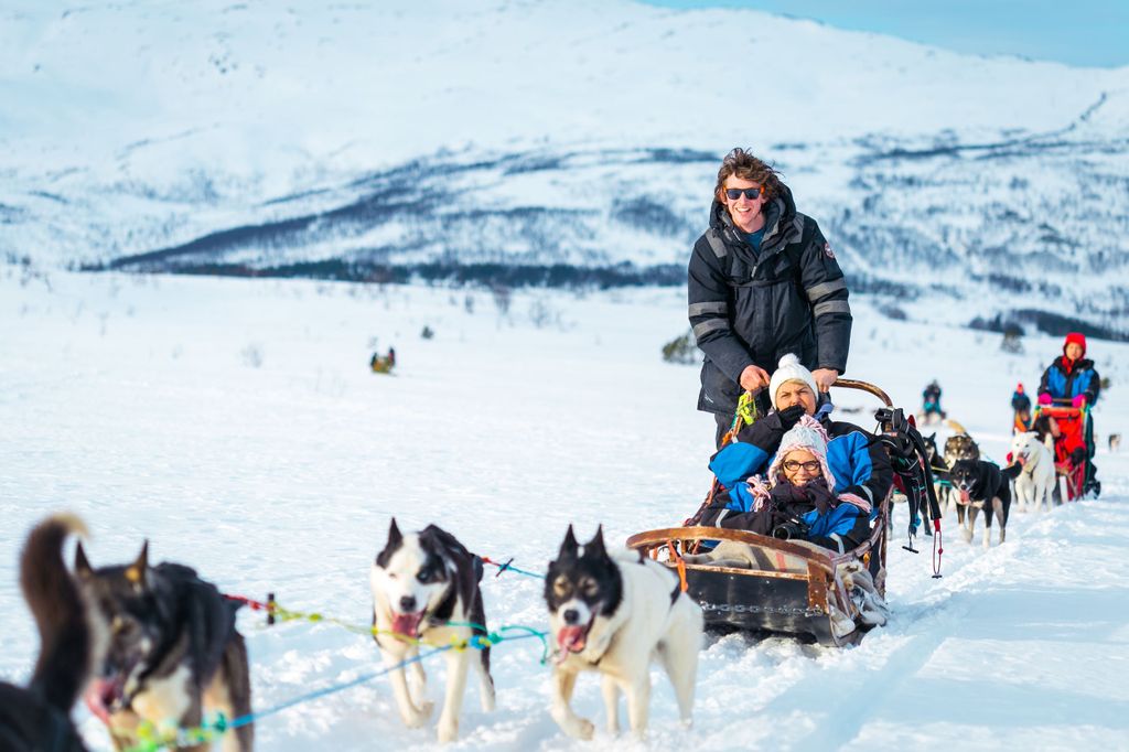 Tromsø: Geführte Husky-Schlittentour mit traditionellem Mittagessen