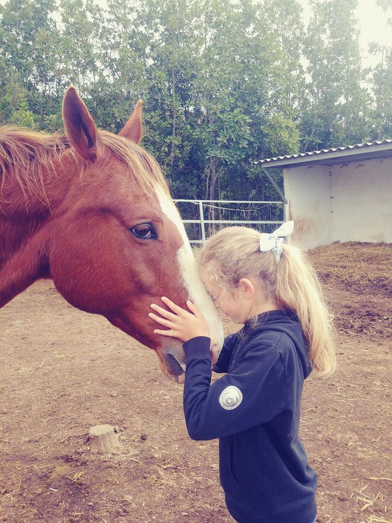 La Orotava: Workshop "Natural Horsemanship" und Permakultur