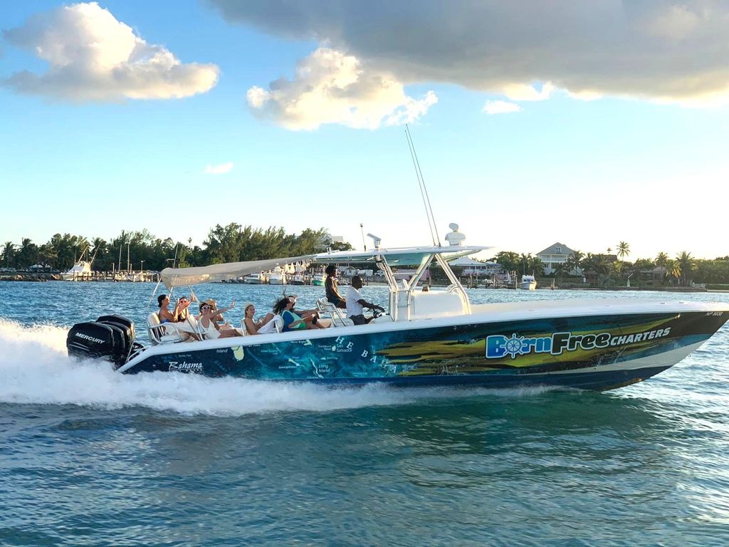 Nassau: Schwimmende Schweine, Schnorcheln und Mittagessen mit dem Schnellboot