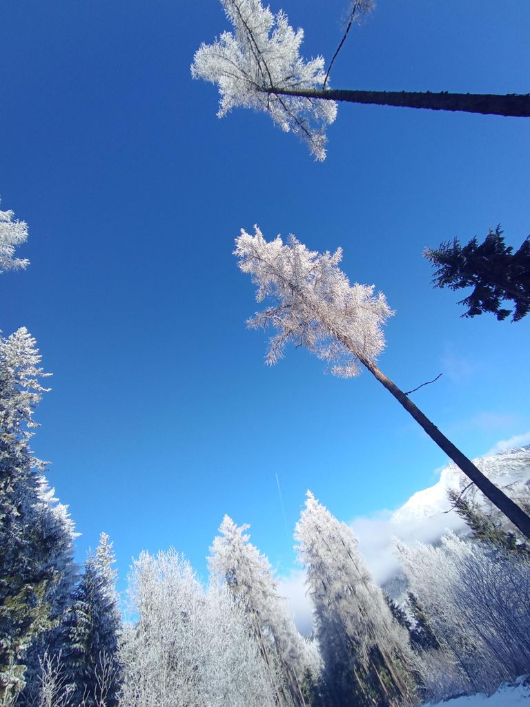 Von Košice: Tour nach Prešov, Zipser Burg und Štrbské Pleso