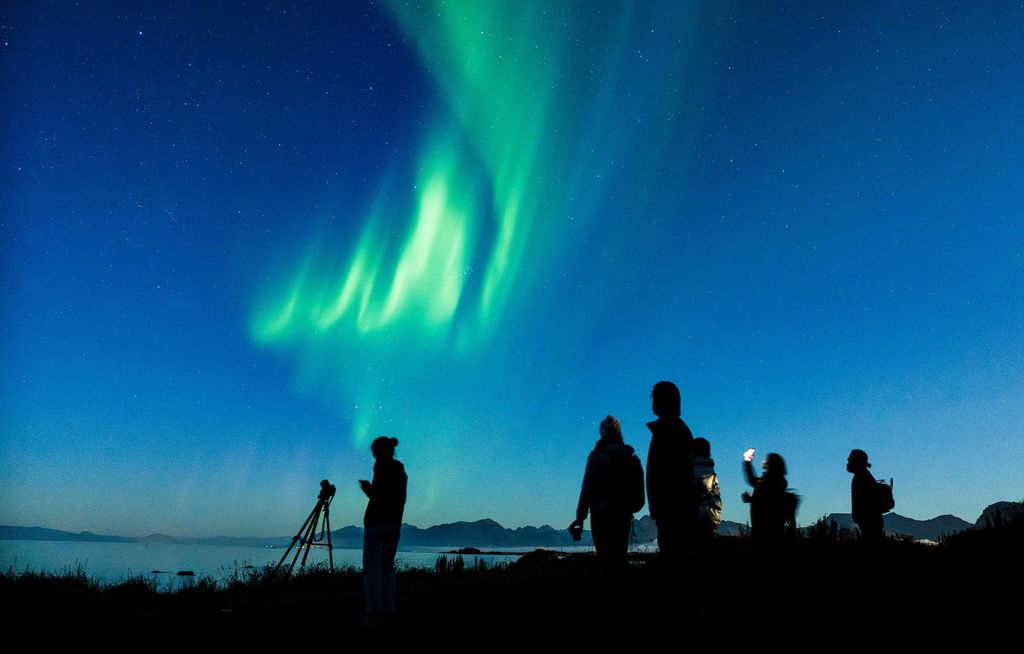 Svolvær: Nordlicht-Tour mit heißen Getränken und Fotos