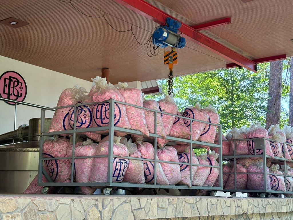 Ab Plowdiw: Rosental & Gräber der thrakischen Könige: Tagestour