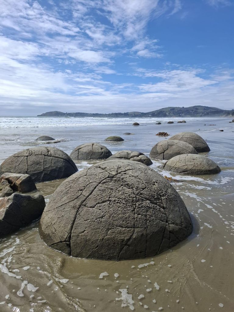 Moeraki Boulders & North Otago Wildlife Tour ab Dunedin