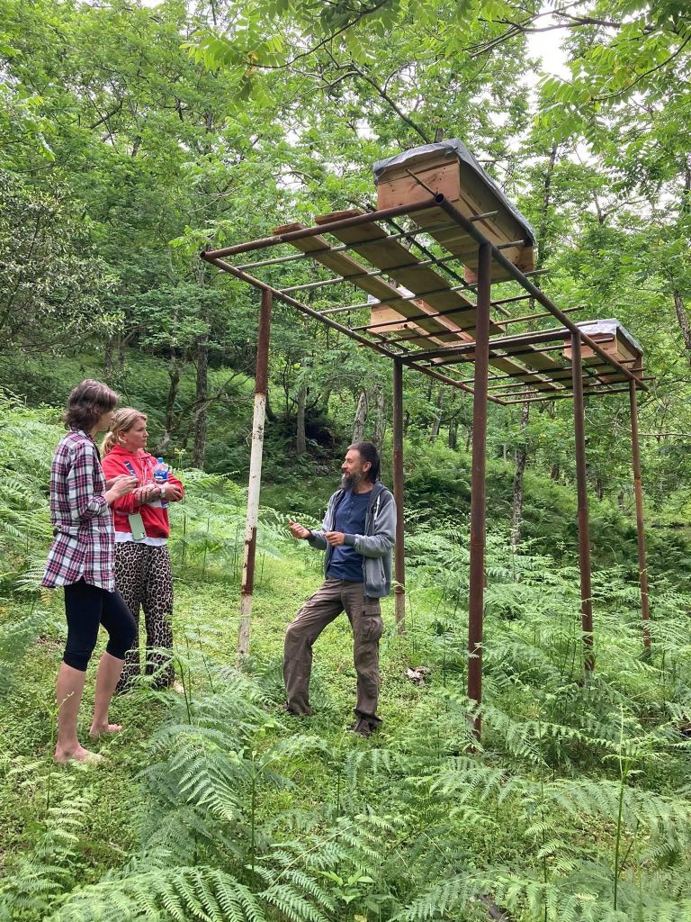 Batumi: Süßer Ausflug und Mtirala-Wald