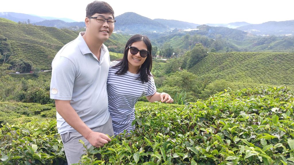 Ipoh: Private Tagestour zu den Cameron Highlands mit Fahrer